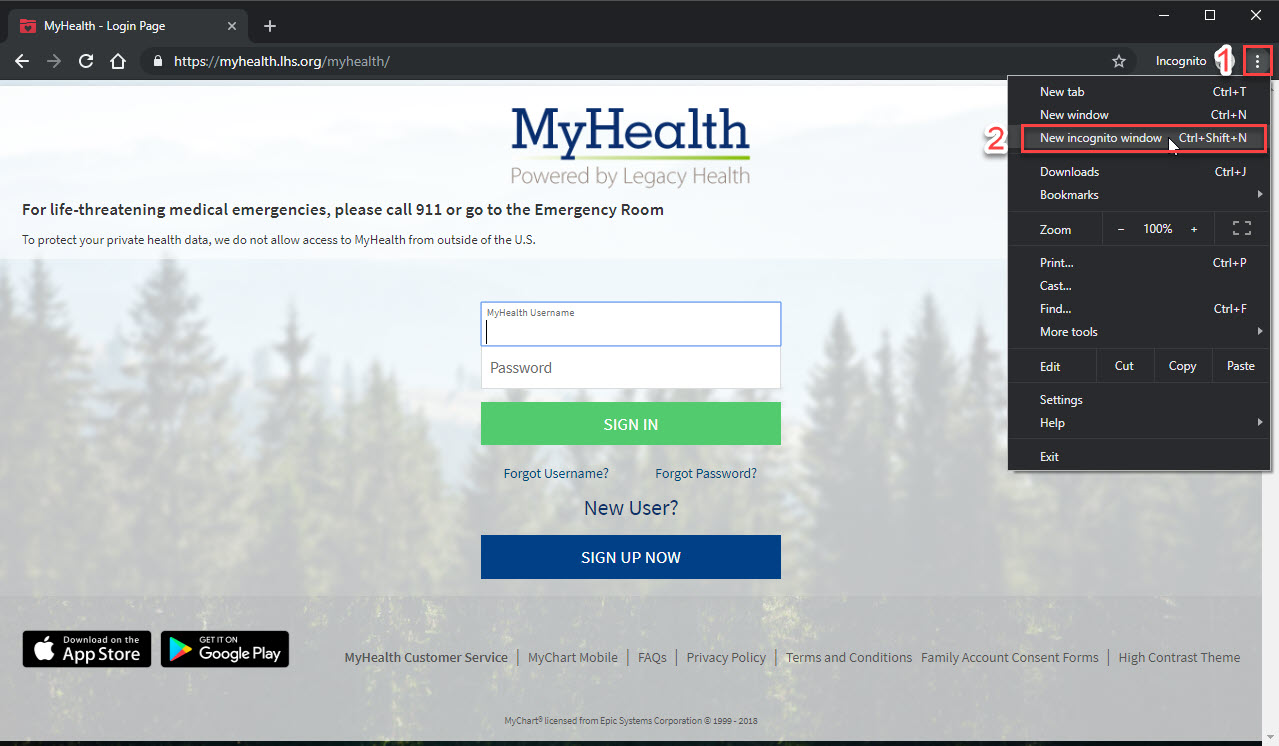 Manage Extensions Window